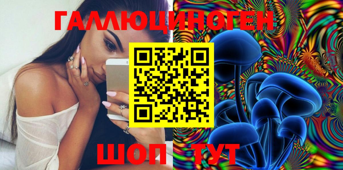 что такое   Галлюциногенные грибы MAGIC MUSHROOMS  Вход с VPN  Шатура  Псилоцибиновые грибы прущие грибы 